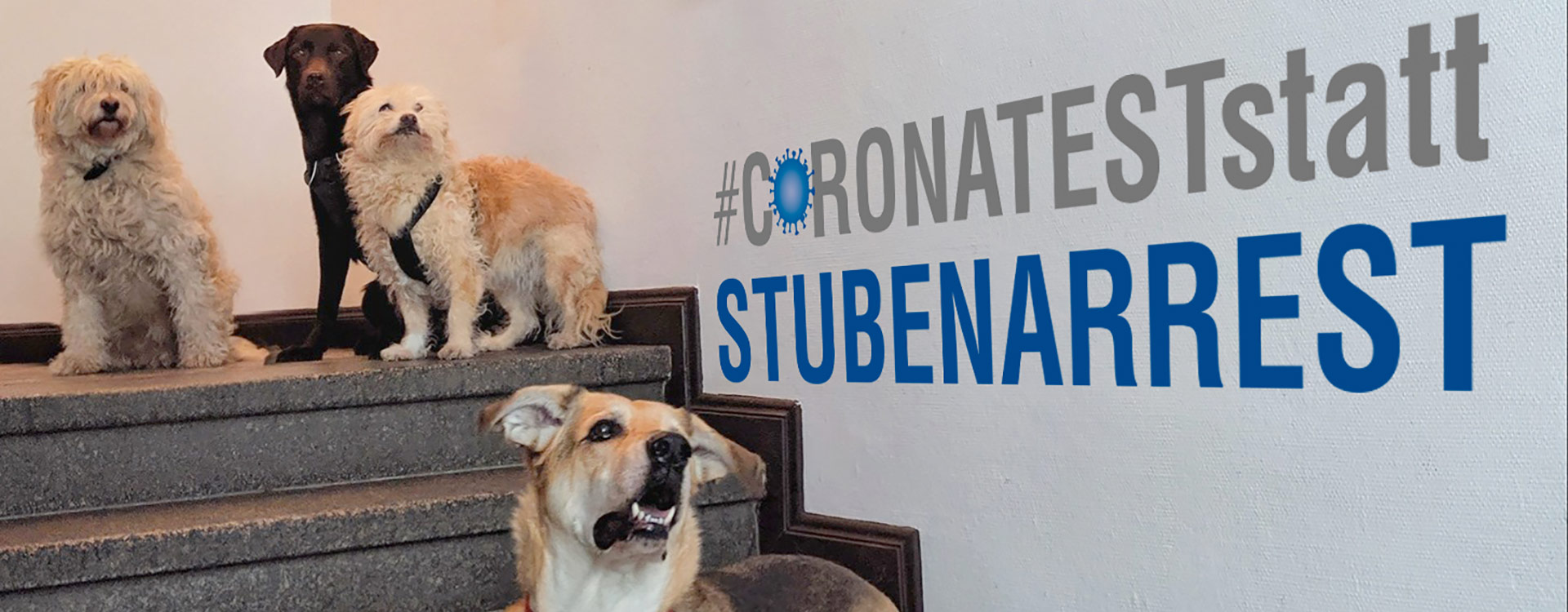 Traso Gmbh Reiseveranstalter Und Reiseburo Losungen